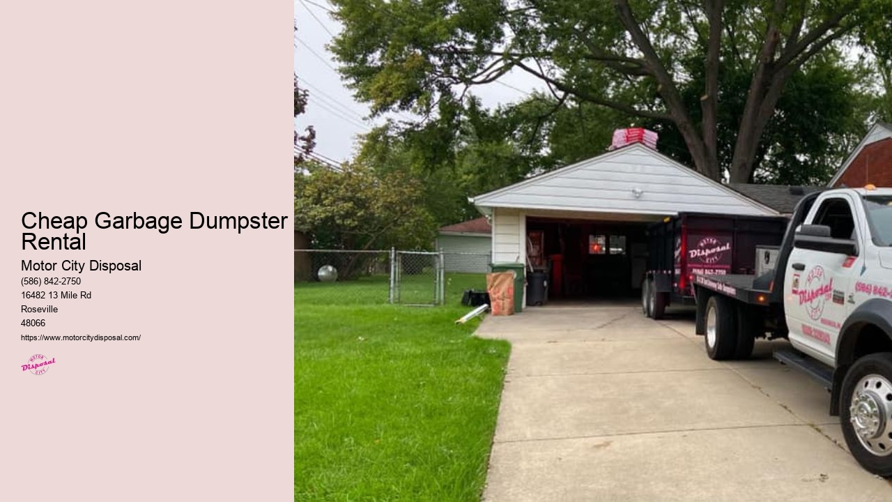 A Cheap Dumpster